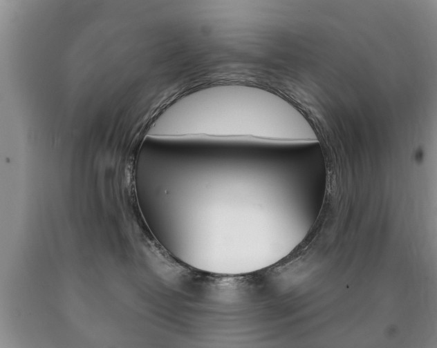 X0000090760382200707201059