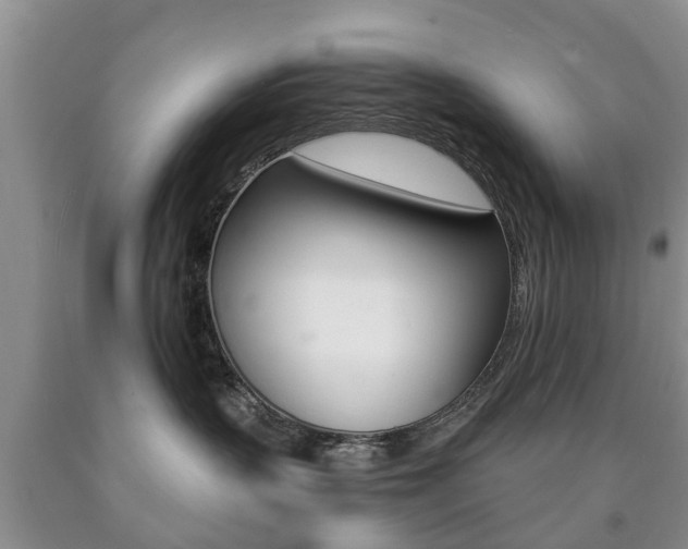 X0000090760383200707201059