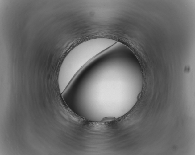 X0000090760384200707201059