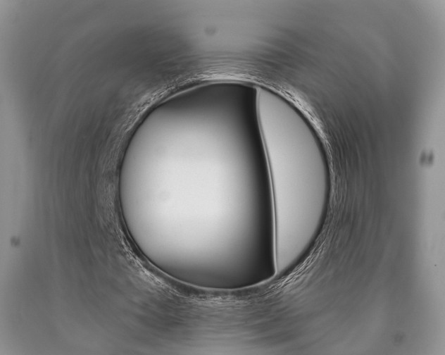X0000090760385200707201058