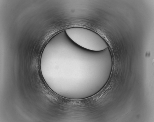 X0000090760386200707201058