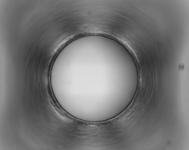 X0000090760390200707201058