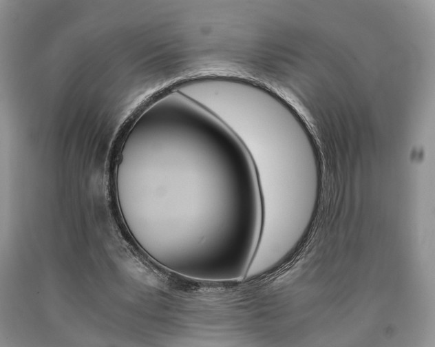 X0000090760391200707201058