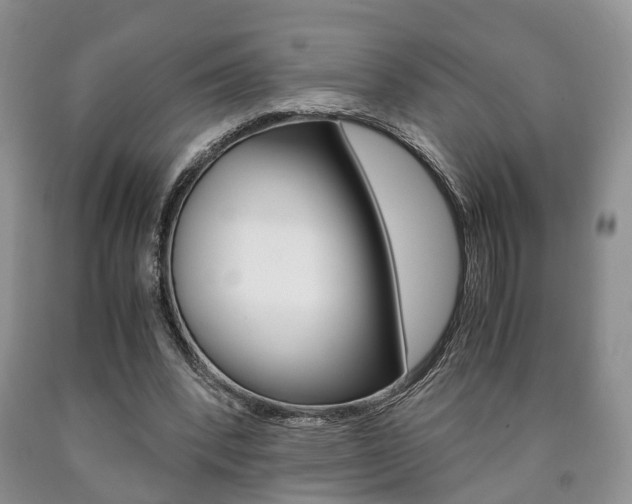 X0000090760392200707201058