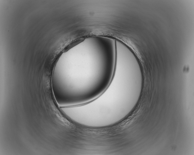 X0000090760393200707201058