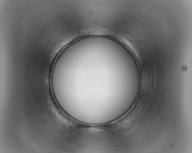 X0000090760394200707201058