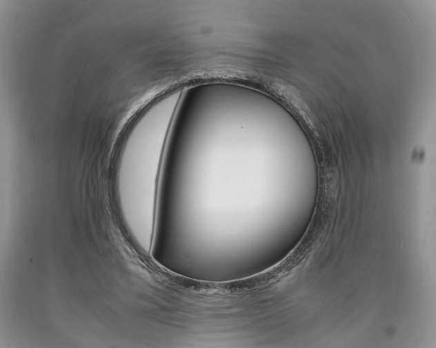 X0000090760395200707201058