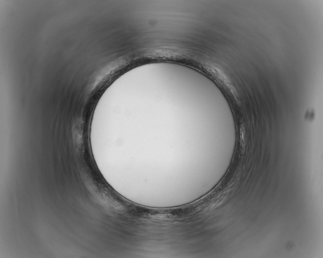 X0000090760396200707201058