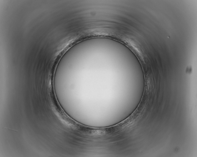X0000090760398200707201058