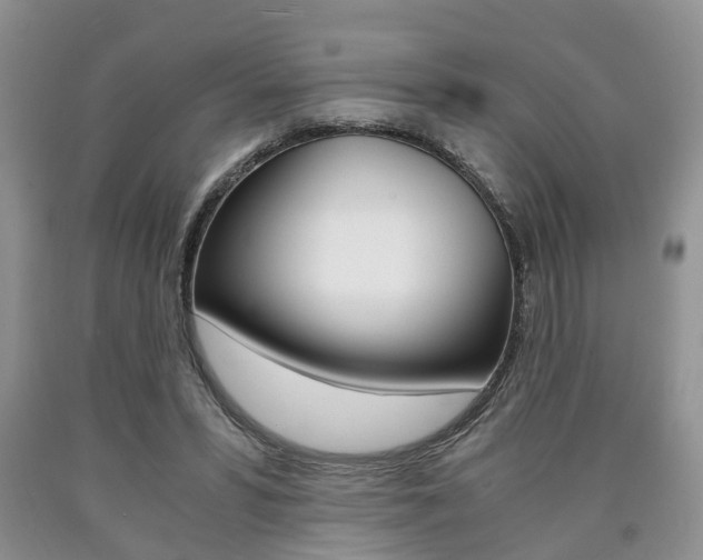 X0000090760399200707201058
