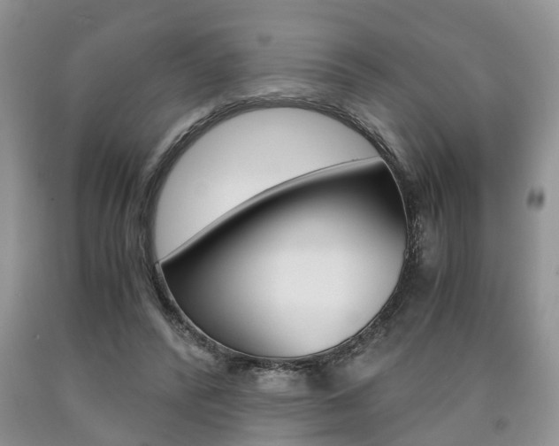 X0000090760400200707201058