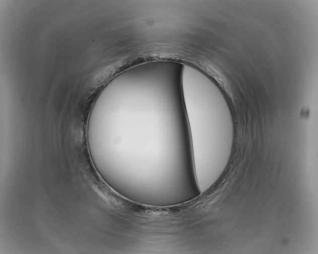 X0000090760401200707201058