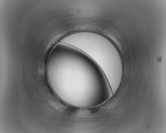 X0000090760403200707201058
