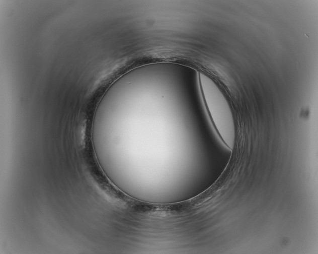 X0000090760404200707201058