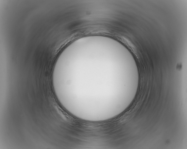 X0000090760405200707201058