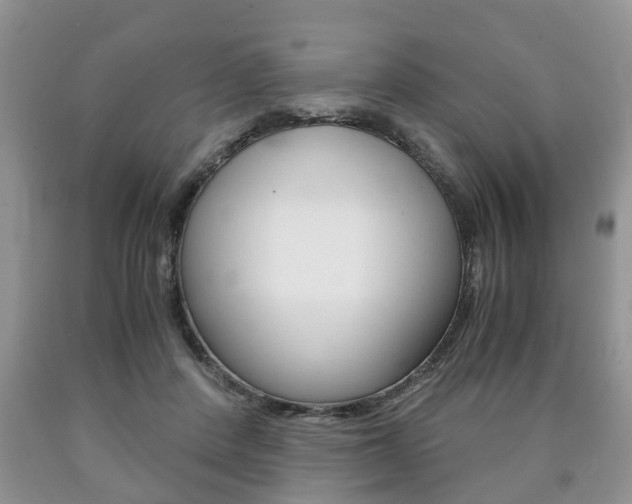 X0000090760408200707201058
