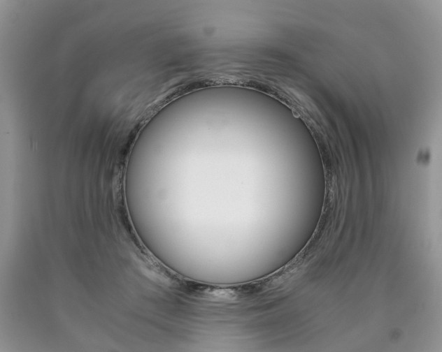 X0000090760409200707201058
