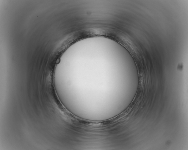 X0000090760410200707201058