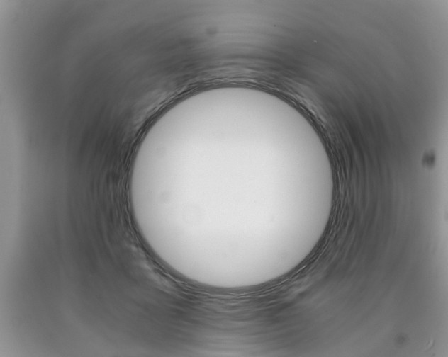 X0000090760411200707201058