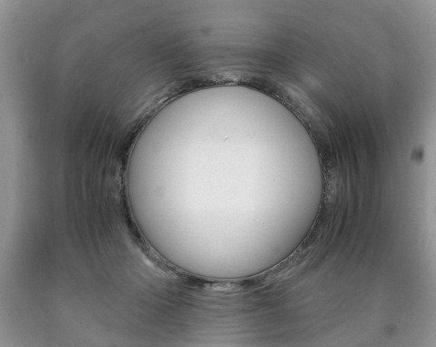 X0000090760414200707201058