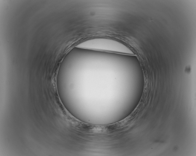 X0000090760415200707201058