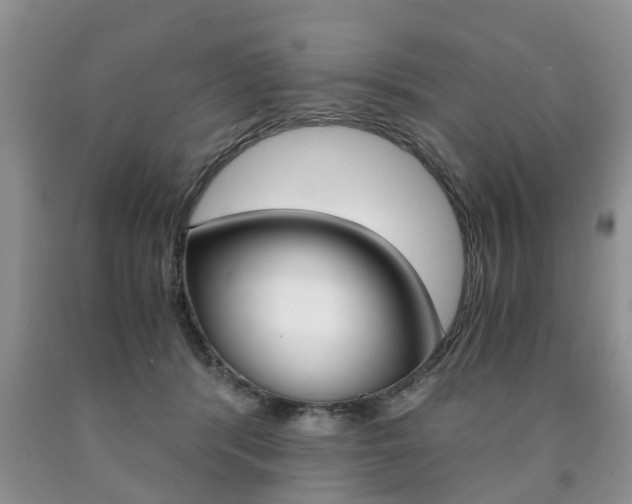 X0000090760416200707201058