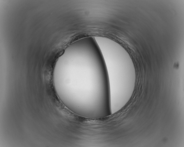 X0000090760417200707201058