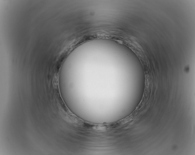 X0000090760419200707201058