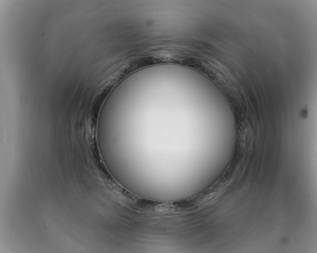 X0000090760420200707201058