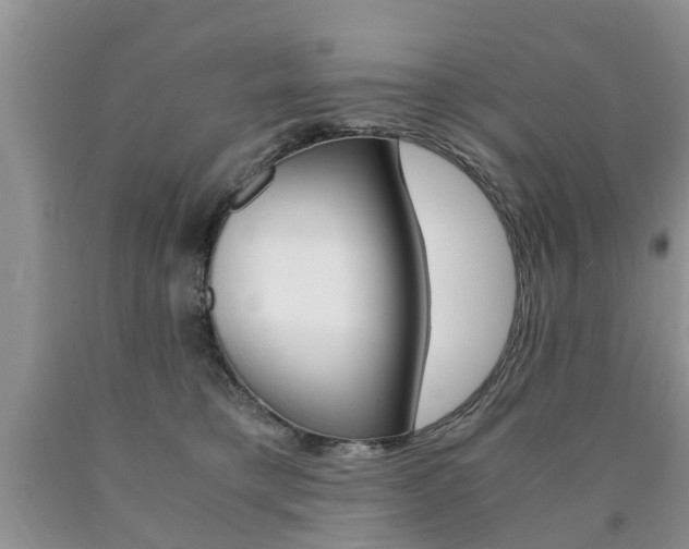 X0000090760421200707201058
