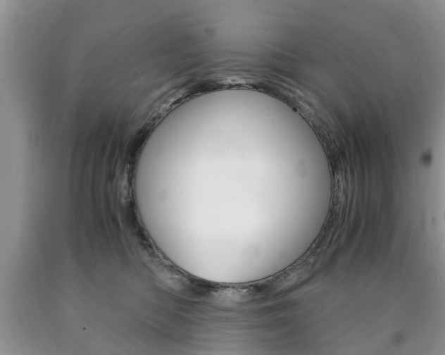 X0000090760422200707201058