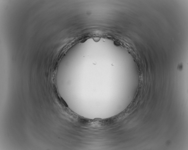 X0000090760423200707201058