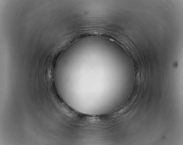 X0000090760424200707201058