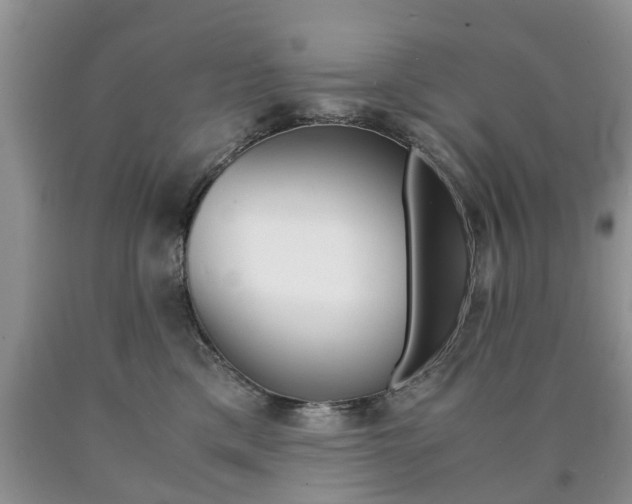 X0000090760425200707201058