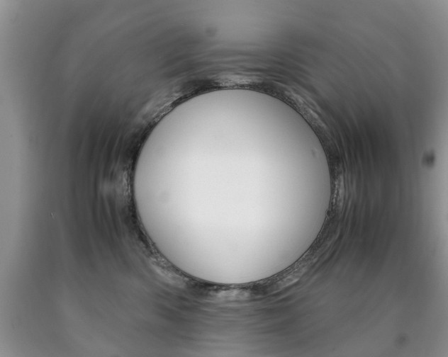 X0000090760426200707201058