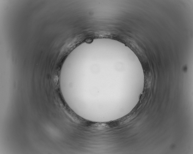 X0000090760427200707201058