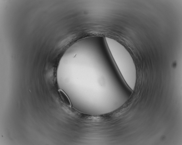 X0000090760428200707201057