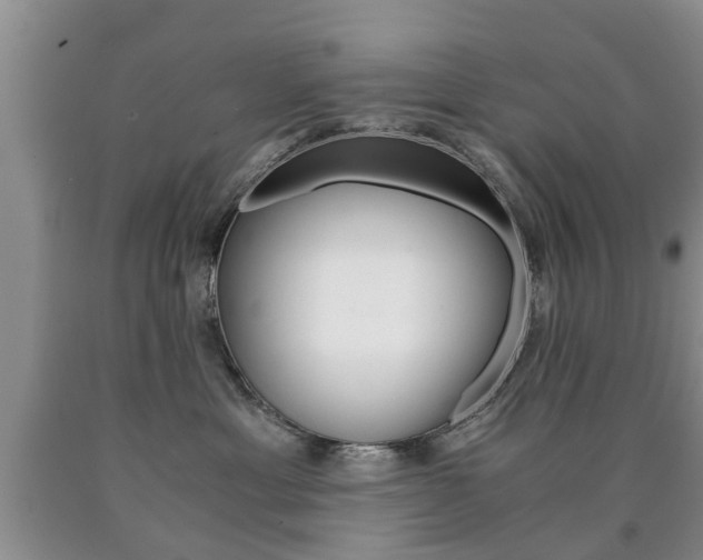 X0000090760429200707201057