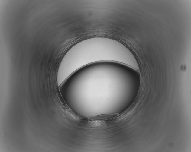 X0000090760432200707201057