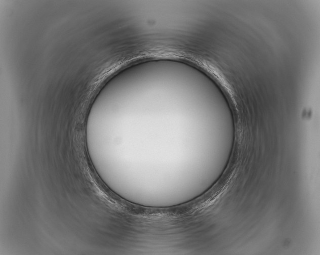 X0000090760433200707201057