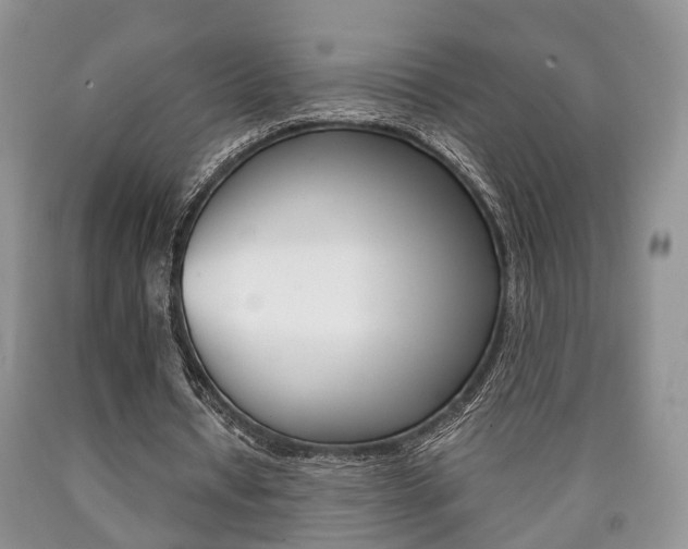 X0000090760434200707201057
