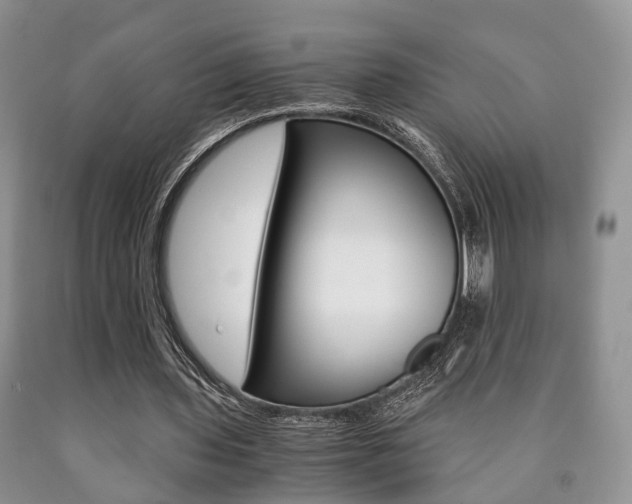 X0000090760435200707201057