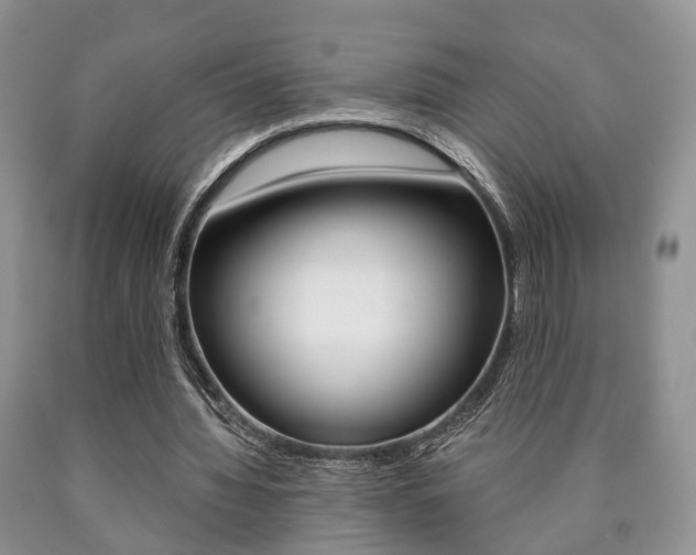 X0000090760436200707201057