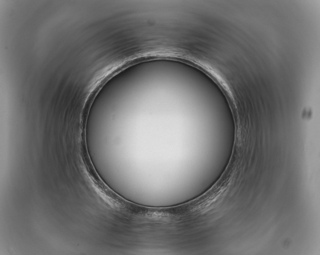 X0000090760437200707201057