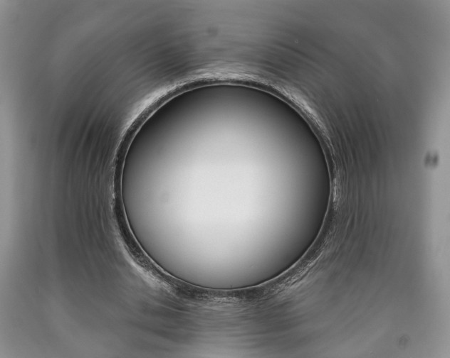 X0000090760438200707201057