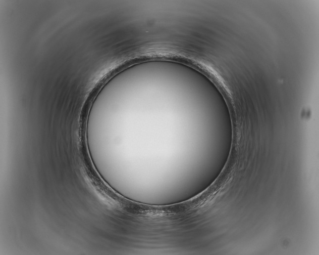 X0000090760439200707201057
