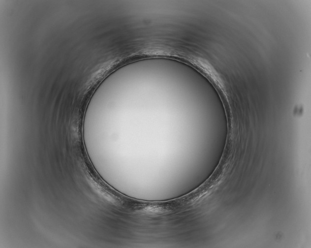 X0000090760441200707201057