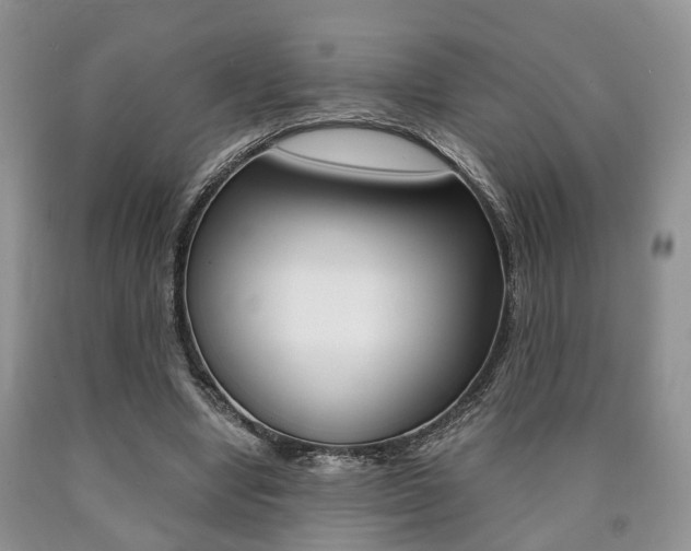 X0000090760442200707201057