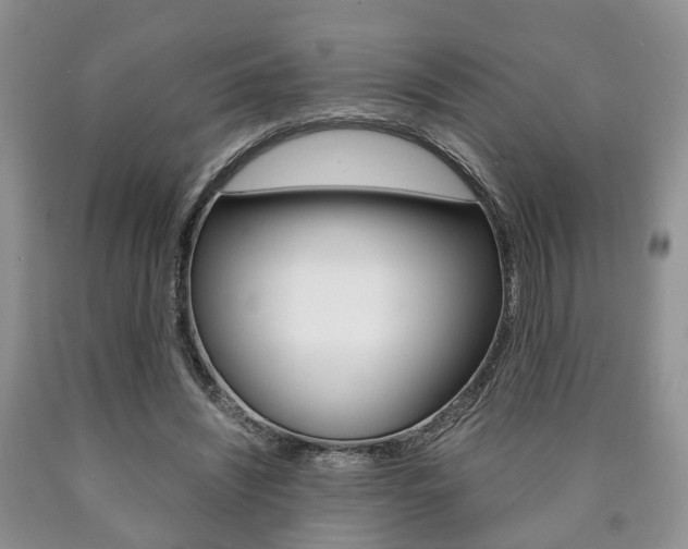 X0000090760444200707201057