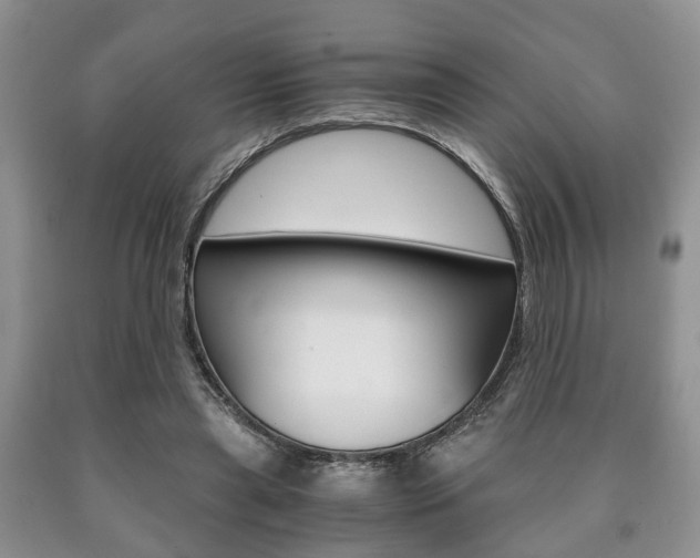X0000090760445200707201057